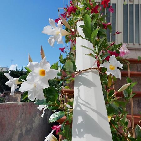 Casa Vacanza Anacapri Sunrise Kültér fotó