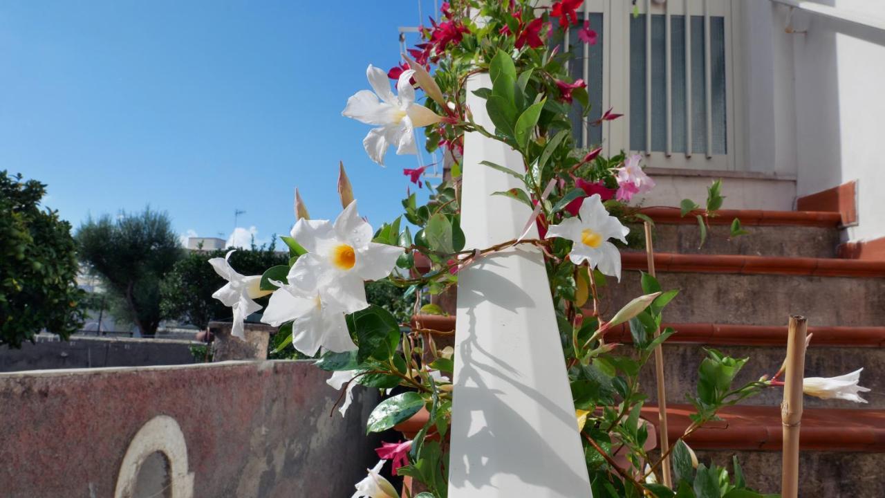 Casa Vacanza Anacapri Sunrise Kültér fotó